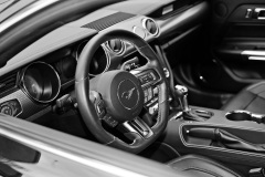 DSC04003ps_rl2sw_1920