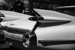 TAS_8056sw_1920
